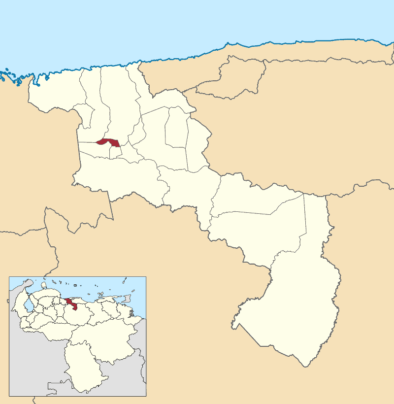 Ubicación geográfica del municipio  Francisco Linares Alcántara
